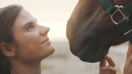 a young beautiful woman with a smile on her face looks at a horse's head and touches it in a blurred environment. High-quality photo