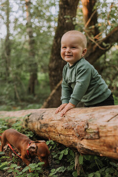 charming cute baby boy stands and holds on to a log and a dwarf dachshund against the background of a green forest. walking and playing in the fresh air. space for text. High quality photo