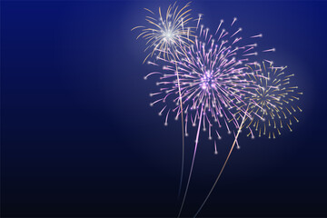 firework background. set of fireworks in night sky.Vector illustration of celebrate night with beautiful firework in new year eve.