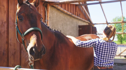 a long-haired young girl stands facing the back of a horse tied with a green leash. High-quality...