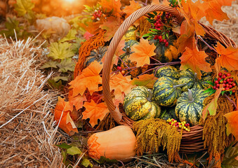 Pumpkins and autumn leaves in basket. symbol of Autumn harvest, Thanksgiving, Mabon sabbat and Halloween holiday. fall seasonal natural background - obrazy, fototapety, plakaty