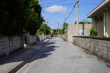 Fototapeta na wymiar 沖縄の離島の静かな街の無人の通り
