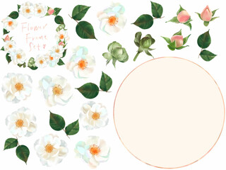 ベクター素材優しい色使いの薔薇の花とかわいいつぼみと葉っぱの白バックイラストとフローラルフレーム素材
