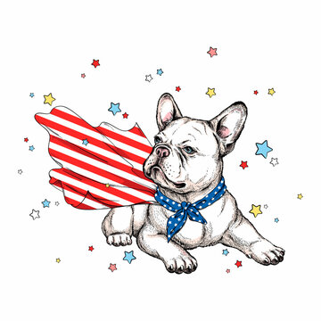 Cute french bulldog in superhero cape. Stylish image for printing on any surface