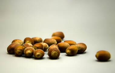 acorns, nuts on a gray background