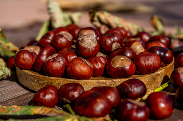 Chestnuts in a plate with dry leaves on a brown wooden table. Autumn still life with bright horse chestnuts on wooden background