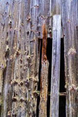Old weathered wooden wall on a shed