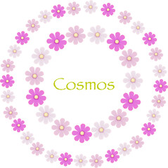 Cosmos flower wreath with vector illustration.