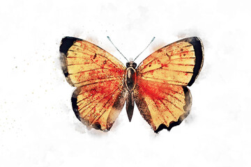 Obraz na płótnie Canvas All kinds of beautiful watercolor butterfly illustrations