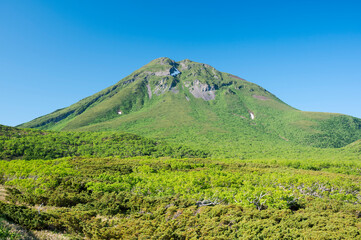 Fototapeta na wymiar 6月の羅臼岳