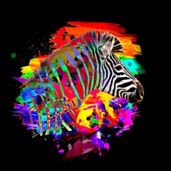 Poster colorful artistic zebra muzzle with bright paint splatters on white background. © reznik_val