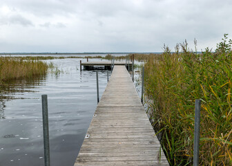 a wooden footbridge on the shore of the lake, overgrown with reeds on the shore of the lake
