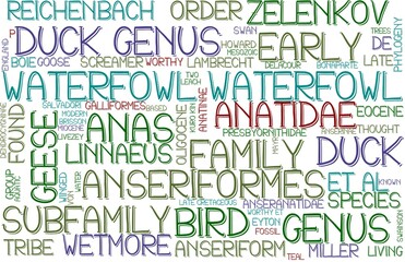 Waterfowl Wordcloud Banner, Wallpaper, Background, Book Cover, Wordart
