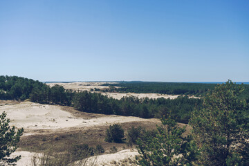 landscape of dunes and forest of curonian spit