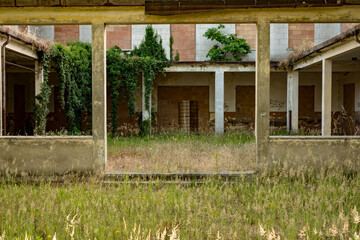 Sinister and haunted dilapidated house