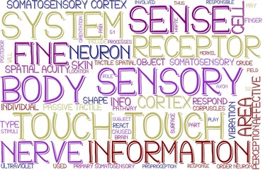 Touch Wordcloud Banner, Wallpaper, Background, Book Cover, Wordart