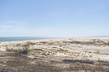 sand dunes of curonian spit with baltic sea