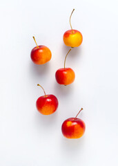 Apples of different colors flowers close-up on a white background.