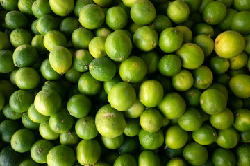 Lemons pattern for nature background.