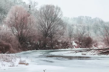 Foto op Canvas Winter river © Galyna Andrushko