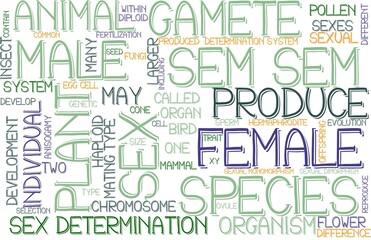 Sem Wordcloud Banner, Wallpaper, Background, Book Cover, Wordart