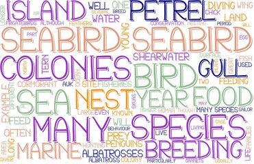 Seabird Wordcloud Banner, Wallpaper, Background, Book Cover, Wordart