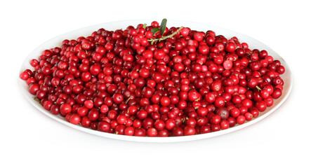 ripe forest lingonberries on a plate