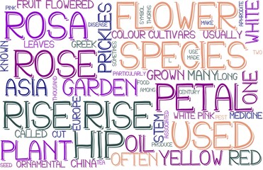 Rise Wordcloud Banner, Wallpaper, Background, Book Cover, Wordart