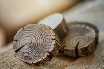 Obraz premium Cross section slices of old dried wooden branches