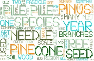 Pile Wordcloud Banner, Wallpaper, Background, Book Cover, Wordart