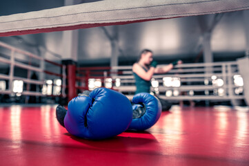 Blue boxing gloves lie in the ring. Two leather boxing gloves