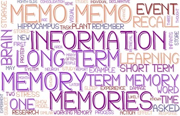 Memo Wordcloud Banner, Wallpaper, Background, Book Cover, Wordart