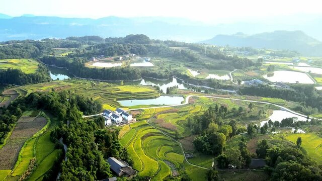A panning forward shot, aerial photography of rice fields, terraced agricultue, beautiful natural scenery in China