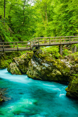 Vintgar Gorge Near Lake Bled in Slovenia