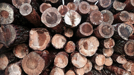 Stacked lumber retro colour