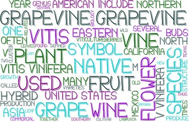 Grapevine Wordcloud Banner, Wallpaper, Background, Book Cover, Wordart
