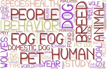 Fog Wordcloud Banner, Wallpaper, Background, Book Cover, Wordart