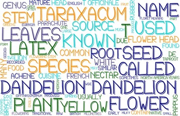 Dandelion Wordcloud Banner, Wallpaper, Background, Book Cover, Wordart