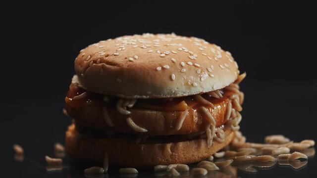 Huge burger with beef patties and moving live maggots closeup. Macro of burger with worms, studio. Concept of junk food