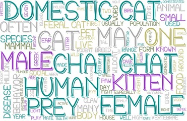 Chat Wordcloud Banner, Wallpaper, Background, Book Cover, Wordart