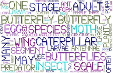 Butterfly Wordcloud Banner, Wallpaper, Background, Book Cover, Wordart
