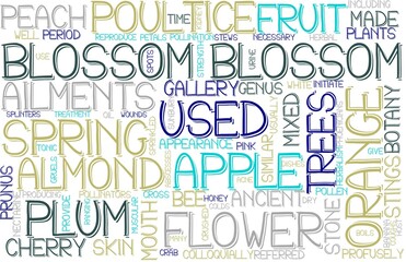 Blossom Wordcloud Banner, Wallpaper, Background, Book Cover, Wordart