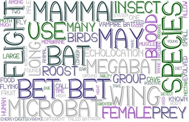 Bet Wordcloud Banner, Wallpaper, Background, Book Cover, Wordart