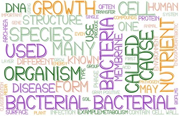 Bacterial Wordcloud Banner, Wallpaper, Background, Book Cover, Wordart