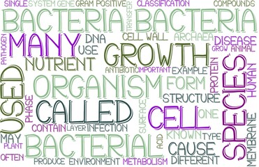 Bacteria Wordcloud Banner, Wallpaper, Background, Book Cover, Wordart