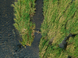 Jena, a vibrant university city in Thuringia, Germany, is known for its rich history and contributions to science and education. Home to the prestigious Friedrich Schiller University 