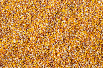 Bulk corn kernels. Peeled yellow corn dried in the sun background. High quality photo