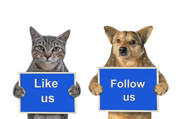 A beige dog and gray cat are holding blue signs t says Like us and Follow us. White background. Isolated. - 459064824