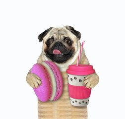A dog pug holds a plastic cup of coffee and a macaron. White background. Isolated.