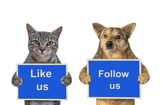 A beige dog and gray cat are holding blue signs t says Like us and Follow us. White background. Isolated.